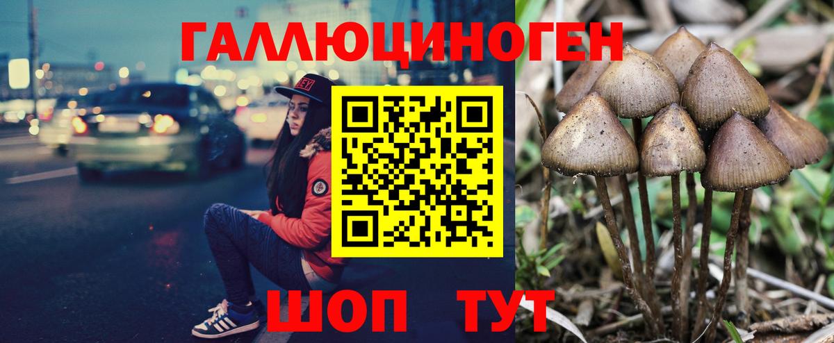 Кызыл  Галлюциногенные грибы прущие грибы  Псилоцибиновые грибы Cubensis  Вход с VPN 